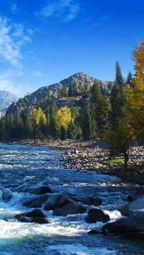 1766728709187158.png 1766728709187158.png