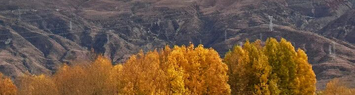 1766729040959423.jpg 1766729040959423.jpg